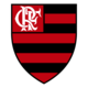 Temporada do Clube de Regatas do Flamengo de 2013