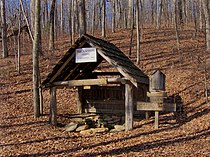 Rankin Spring, a watering hole on the east slope of Lone Mountain