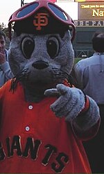 Lou Seal has served as mascot of the San Francisco Giants since 1996. Lou seal giants mascot.jpg