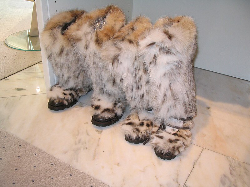 File:Lynx fur boots, Slupinski Düsseldorf 2011.jpg