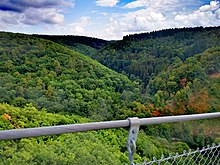 Das Tal des Mörsdorfer Baches von der Geierlay gesehen