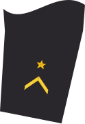 Distintivo sulla manica della giacca (tuta di servizio) di un guardiamarina in mare (servizio di truppe)