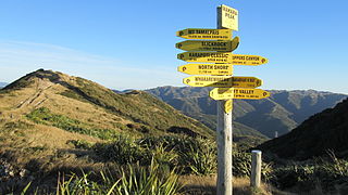 Mākara Peak Mountain Bike Park Biking and walking park in New Zealand