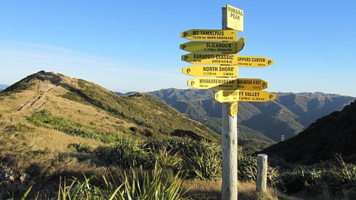 Mountain Bike Track things to do in Cook Strait