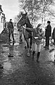 Manege Ponderosa bij Amsterdamse Bos afgebrand een van de ontsnapte paarden wor, Bestanddeelnr 924-1194.jpg