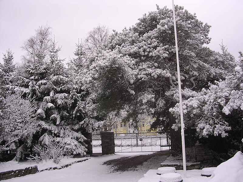 File:March snow in Mähe - panoramio.jpg