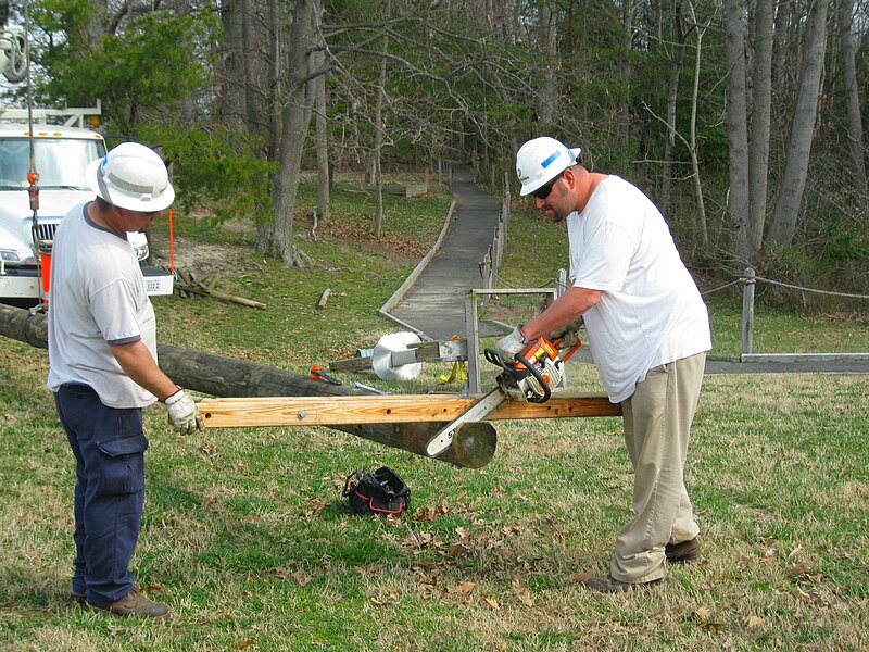 File:Mason Neck ASB- Rutgers University (6851476510).jpg