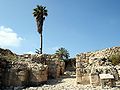 Pozostałości kananejskiej bramy miejskiej Megiddo
