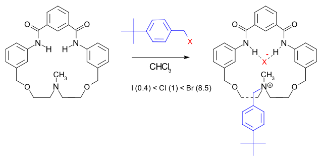 File:MenshutkinReactionApplication.svg