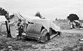 "Migrant_family_looking_for_work_in_the_pea_fields,_California,_8b27082.jpg" by User:Yann