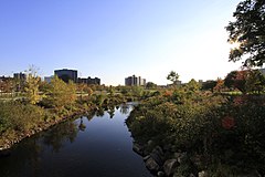 Mill River Park Stamford.jpg