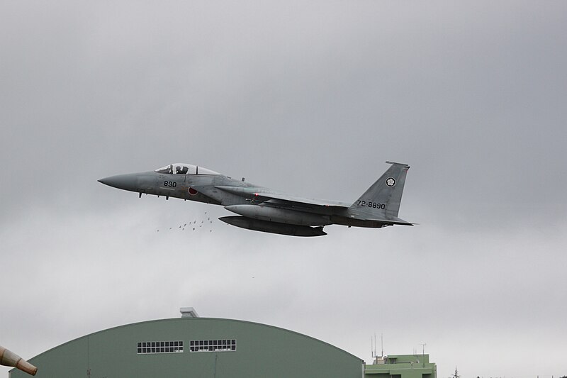 File:Mitsubishi F-15 in flight 14.jpg