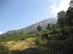 Monte Berlinghera, view from the path between San Bartolomeo and Bocchetta Chiaro.