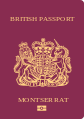 Montserrat Passport.svg