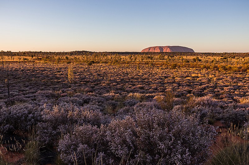 File:Morning Uluru.jpg