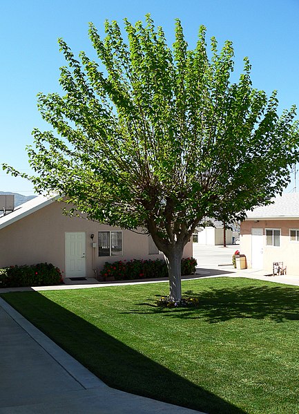 File:Morongo Reservation View.jpg