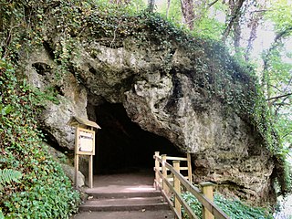 <span class="mw-page-title-main">Mother Shipton's Cave</span> Cave in North Yorkshire, England