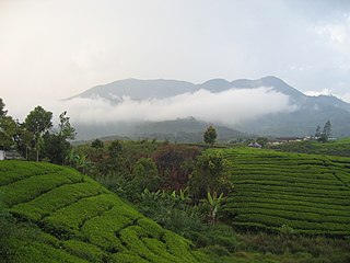 Mount Talang Active stratovolcano in west Sumatra, Indonesia