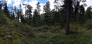 <span class="mw-page-title-main">Bogd Khan Uul Biosphere Reserve</span> Nature reserve in Mongolia