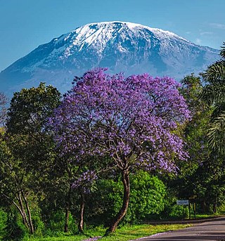<span class="mw-page-title-main">Moshi District, Kilimanjaro</span> District of Kilimanjaro Region, Tanzania