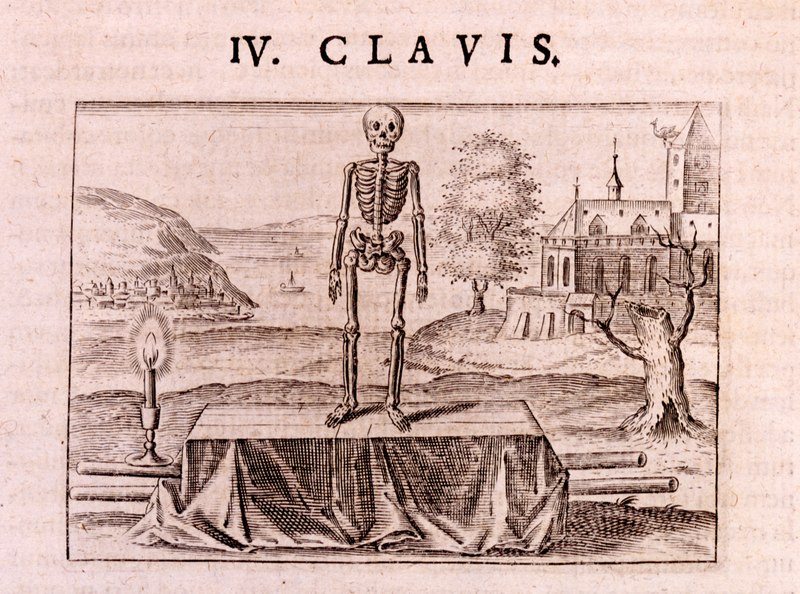 File:Musaeum Hermeticum 1678 IV. Clavis AQ32 Key 4.tif