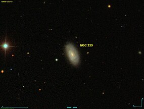 NGC 0239 SDSS.jpg