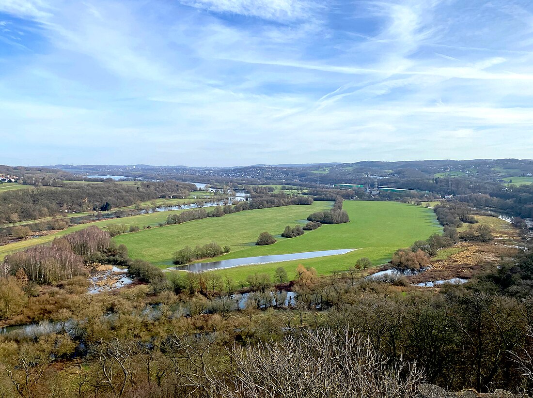 File:NSG Alte Ruhr-Katzenstein (EN-003).jpg