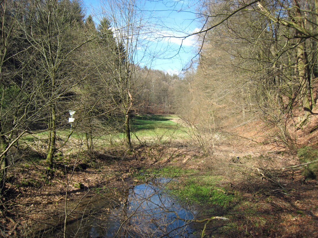 Naturschutzgebiet Sürthtal