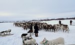 Ненецэнь аулькедьало кужомастор туртов вишка артовкс