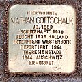 image=https://commons.wikimedia.org/wiki/File:Nathan_Gottschalk.jpg