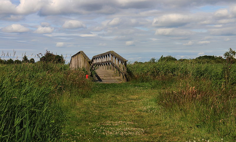 File:Nationaal Park De Alde Feanen. Locatie, It Wikelslân 018.JPG