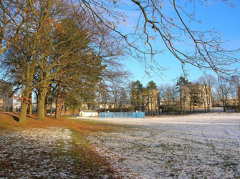 File:New Farm Loch - western bank.JPG