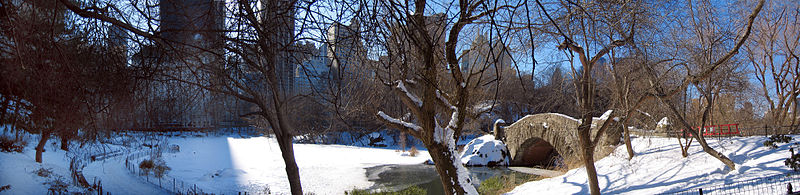 File:New York. Central Park. Snowy (2795538151).jpg