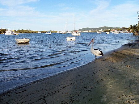 Noosa-river.jpg