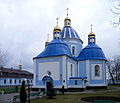 Nyzkynychi Ivanychivskyi Volynska-Uspenska church-south-west view.jpg