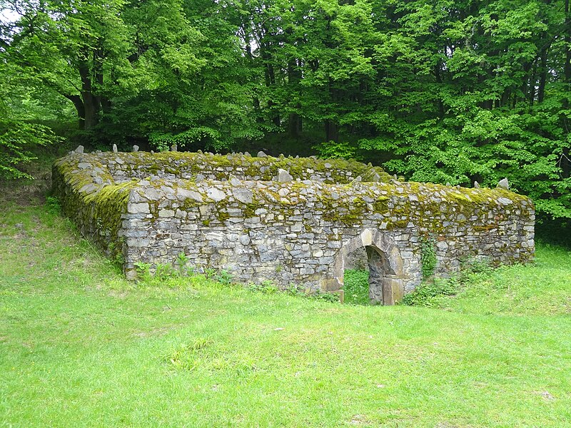 File:Oppidum Glauberg Burg 01.JPG