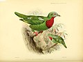 Ornithological miscellany (5981542577).jpg