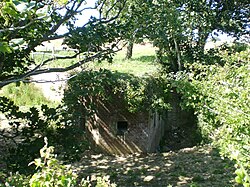 Overgrown section of Yaverland Battery.JPG