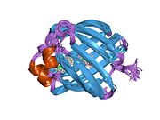 PDB 1eii EBI.jpg