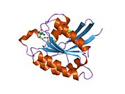 PDB 1kao EBI.jpg