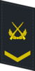 PLANF-Collar-0704-SGT.png