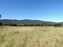 Paddocks Sandy Creek Queensland.jpg