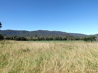 <span class="mw-page-title-main">Bellthorpe National Park</span> Protected area in Queensland, Australia