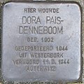 image=https://commons.wikimedia.org/wiki/File:Pais-Denneboom,_Dora_-_Dr._C._Hofstede_de_Grootkade_4.jpg