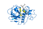 Thumbnail for Cysteine protease