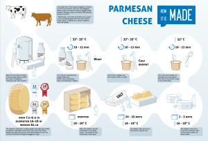 Queso Parmesano: Historia, Cultura gastronómica de expatriados: en Australia, Argentina y Estados Unidos, Denominación de origen