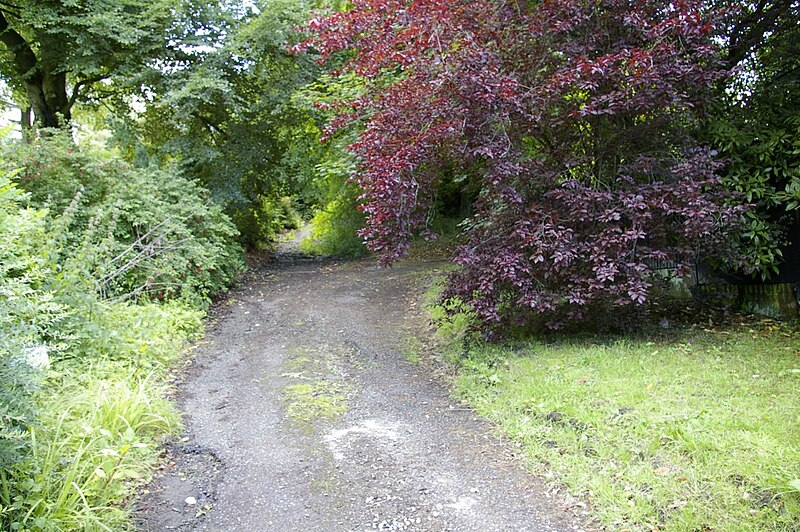 File:Path off Meins Road in Blackburn, Lancashire.jpg