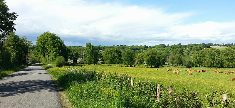 File:Paysage entre Brillac et Lesterps - panoramio.jpg