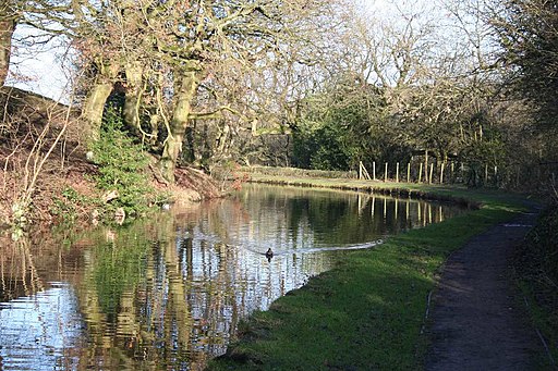 Peak Forest Canal, Disley - geograph.org.uk - 2748433