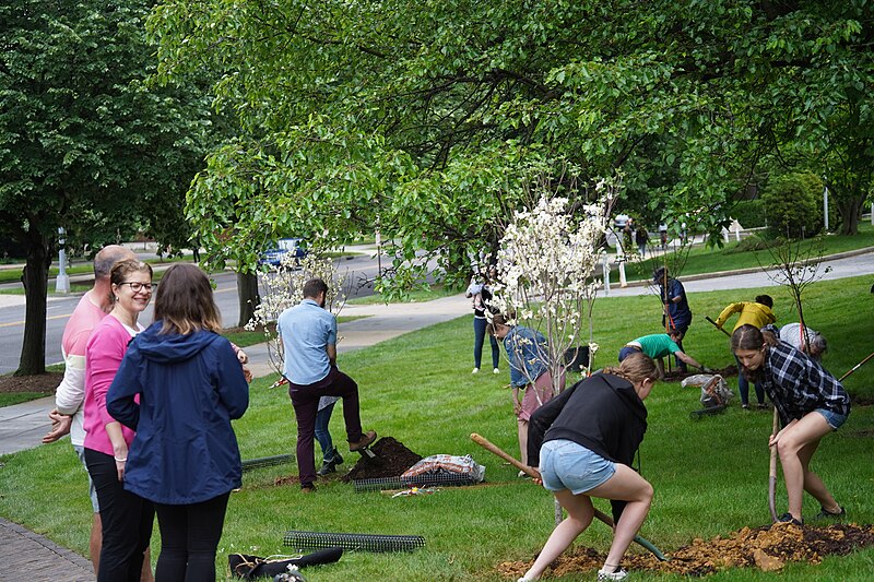 File:Plant a Tree for the Jubilee (52080872150).jpg